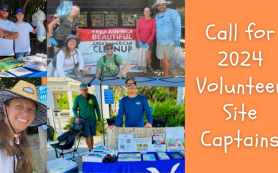 Lead a Team of Volunteers and Be a Site Captain!