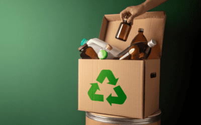 Are My Recycling Efforts Going to Waste?